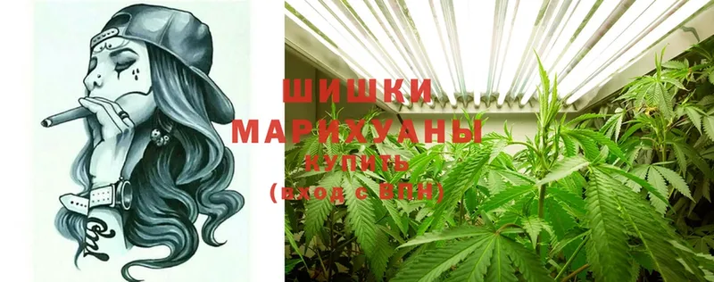 это наркотические препараты  продажа наркотиков  Томск  Бошки марихуана OG Kush 